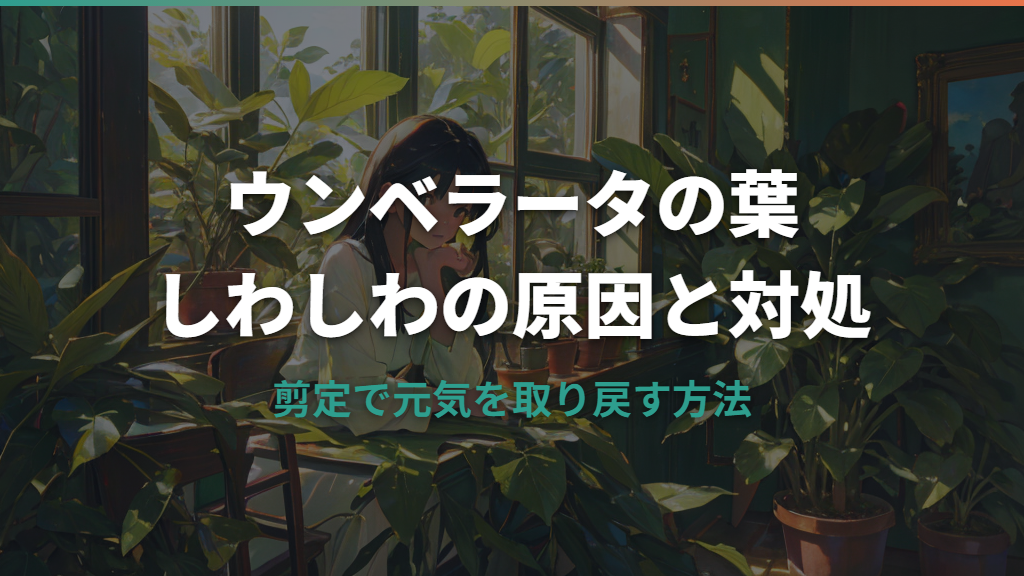 ウンベラータの葉がしわしわになる原因と対処法｜剪定で元気を取り戻す方法