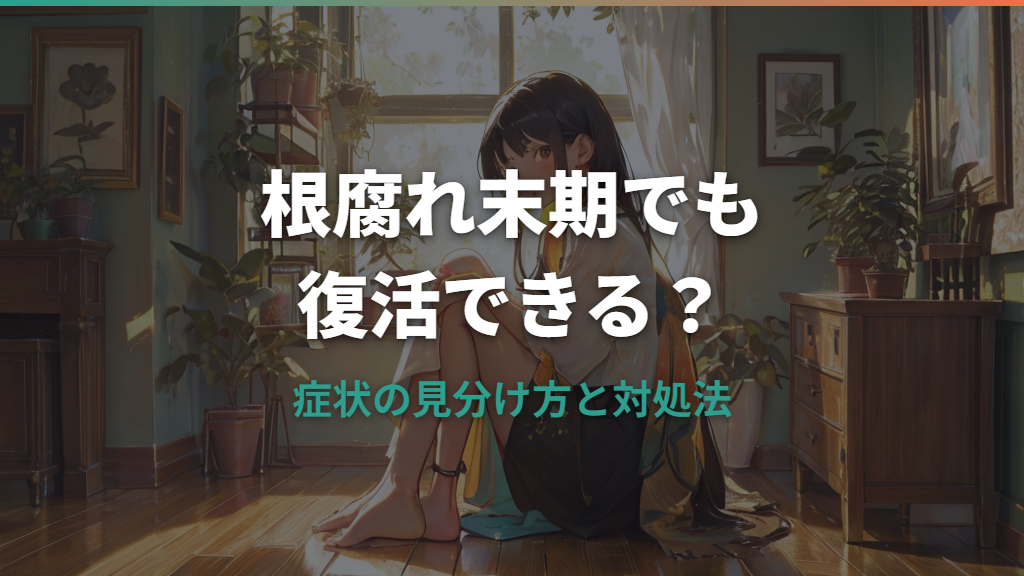 パキラの根腐れ末期から復活させる方法｜症状の見分け方と正しい対処法
