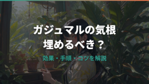 ガジュマルの気根は埋めるべき？効果・手順・太くするコツを解説