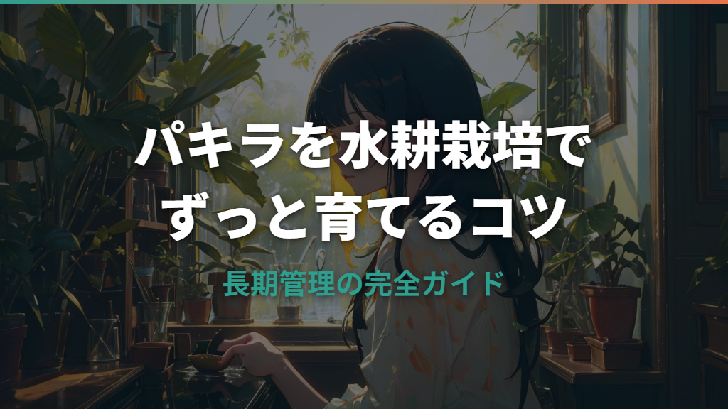 パキラの水耕栽培はずっと続けられる？長期管理のコツと注意点