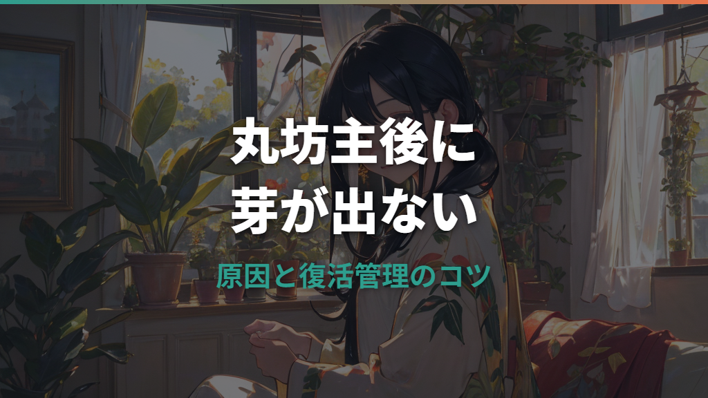 ガジュマルの丸坊主後に芽が出ない原因と復活させる管理のコツ