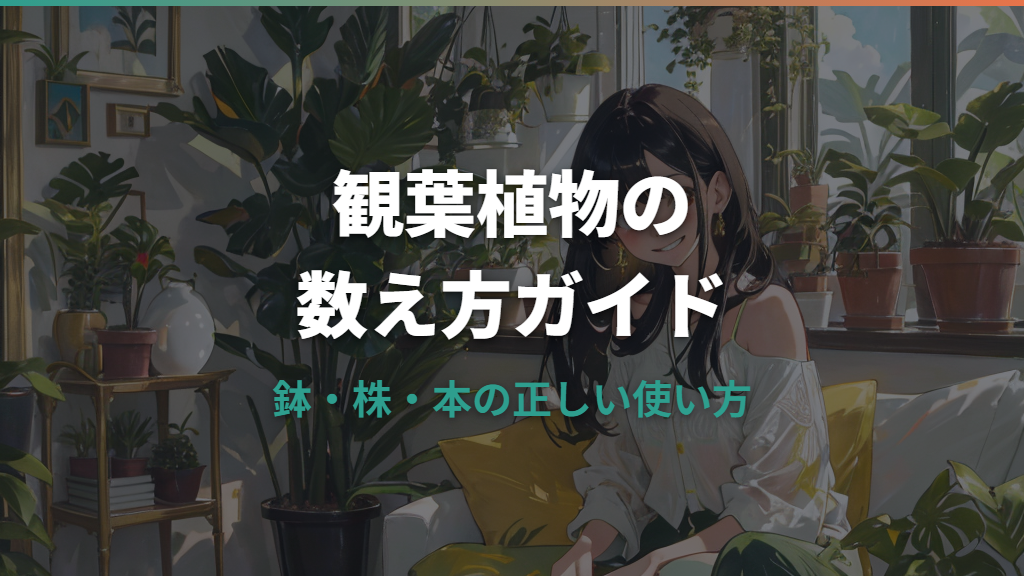 観葉植物の数え方は「鉢」と「株」？種類別・シーン別の使い分け方