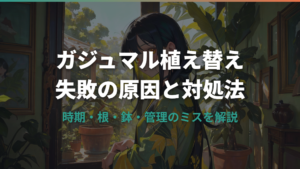 ガジュマルの植え替えで失敗する原因と症状別の対処法