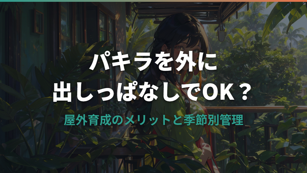 パキラを外に出しっぱなしにしてOK？屋外育成のメリットと季節別管理