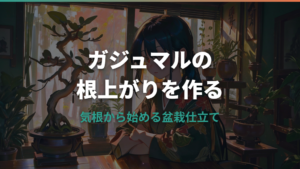 ガジュマルの根上がりを作る手順と管理ポイント
