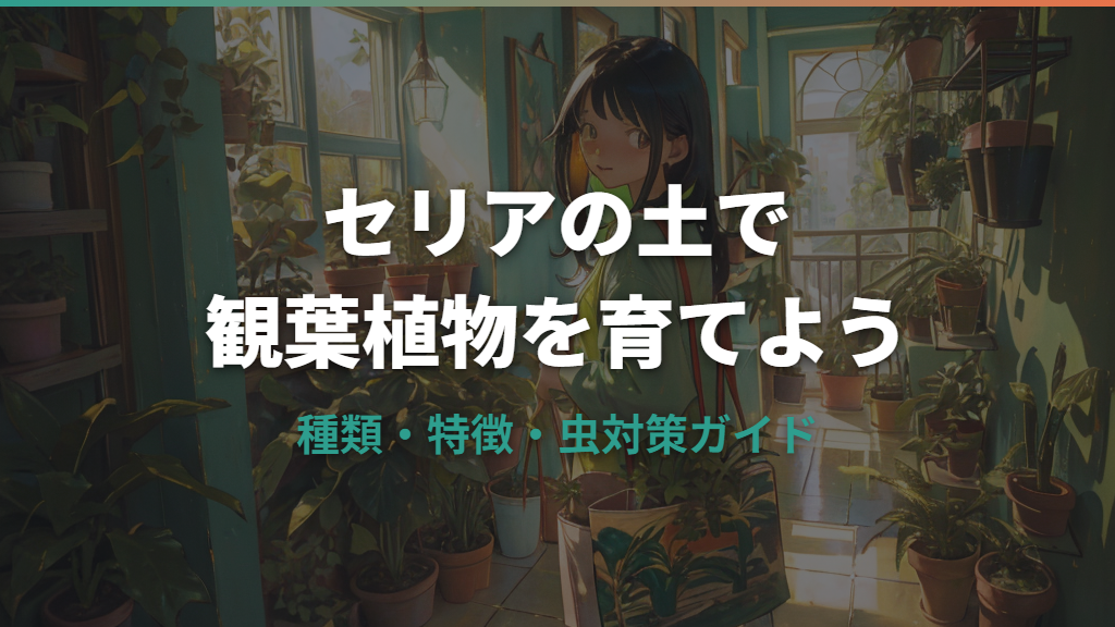 セリアの観葉植物の土は使える？種類と特徴・虫対策を解説