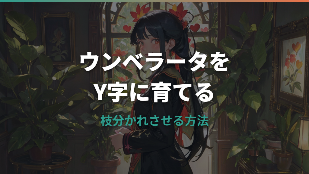 ウンベラータを枝分かれさせる方法｜時期・切り方・アフターケア