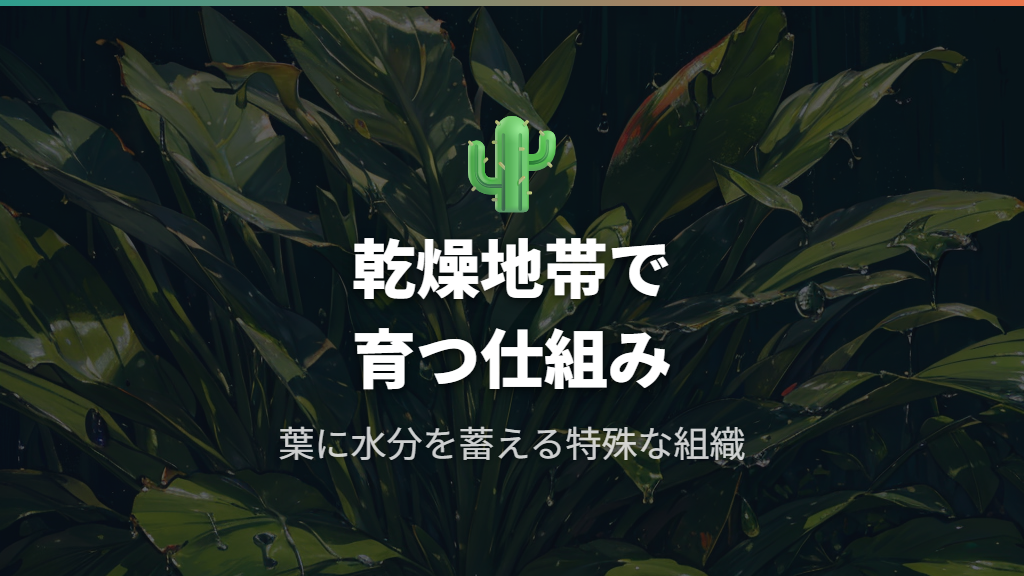 アフリカ原産のサンスベリアが乾燥に強い仕組み
