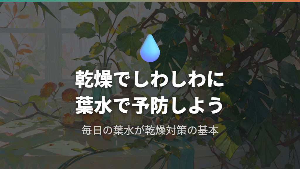 乾燥による水分不足でウンベラータの葉がしわしわに波打つ