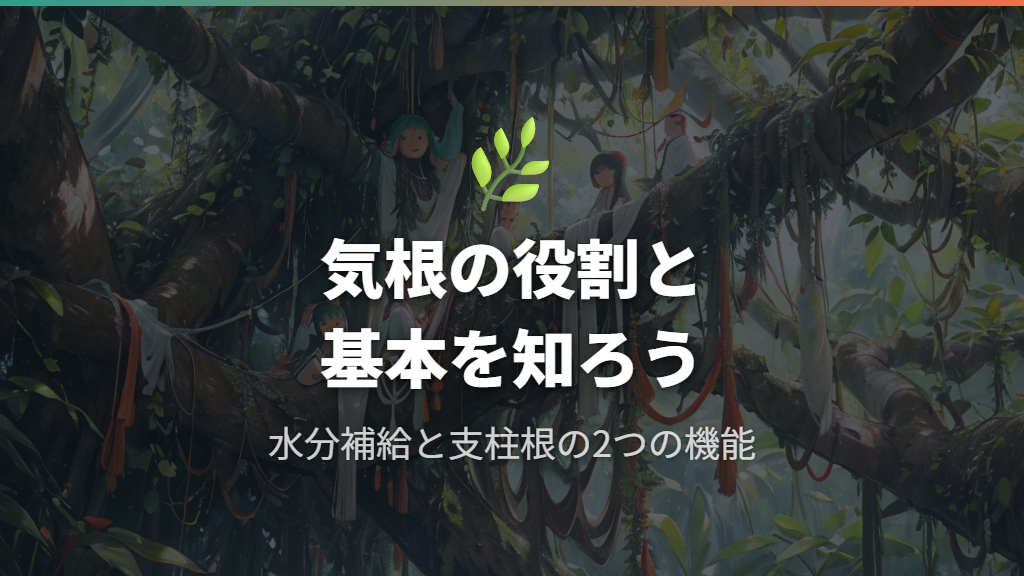 ガジュマルの気根の役割と基本知識