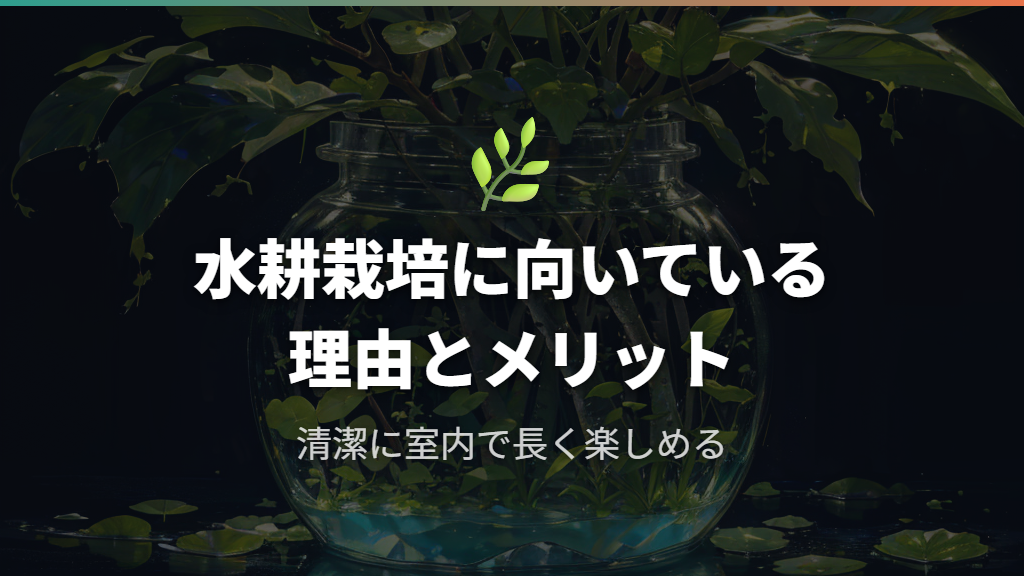 パキラを水耕栽培でずっと育てられる理由と向いているケース