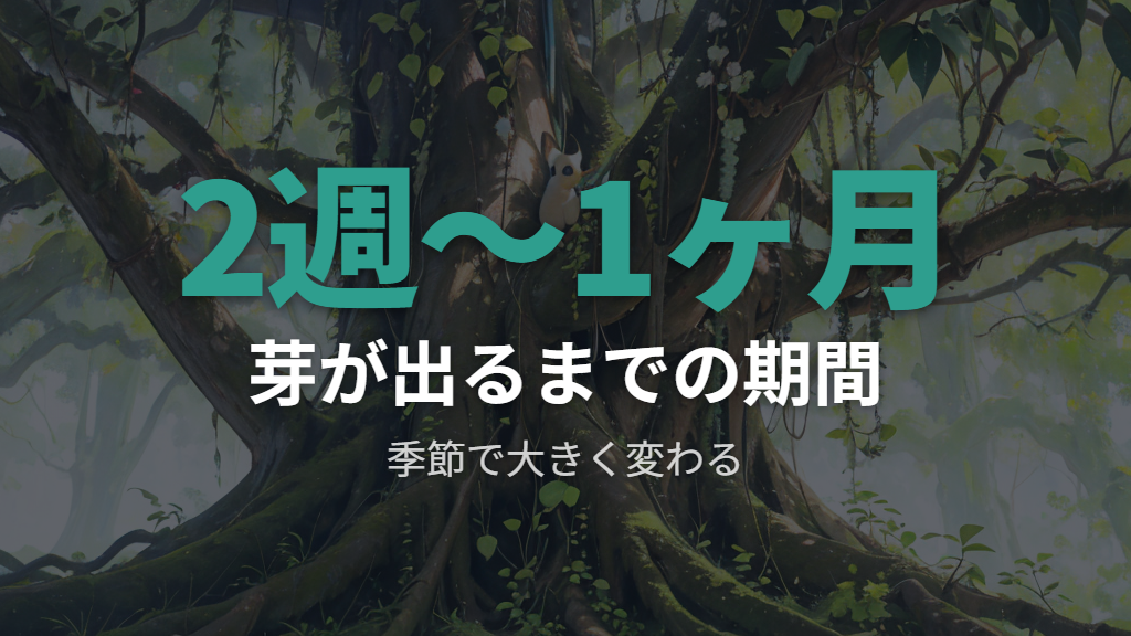 芽が出るまでの目安期間と季節による大きな違い