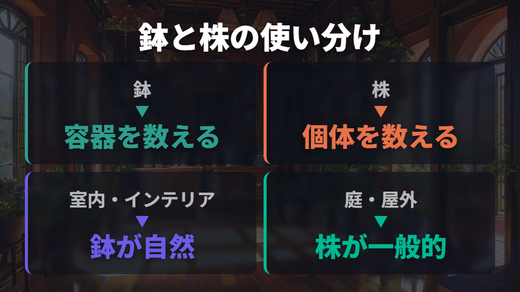 「鉢」と「株」の意味と使い分けのポイント