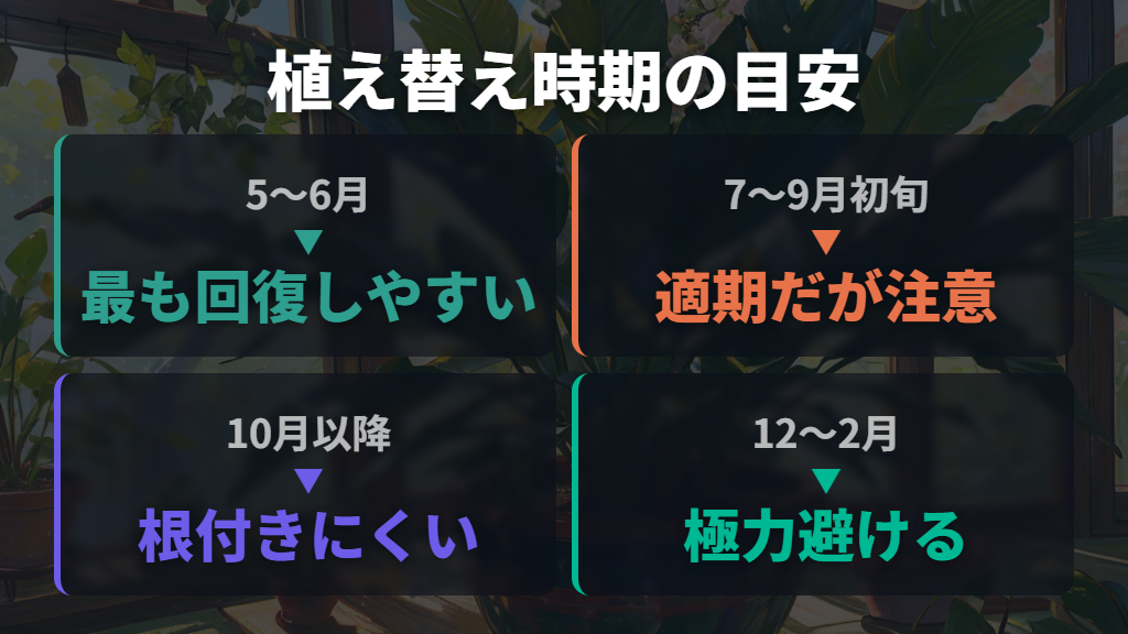 植え替えに失敗しやすい時期と時期の見極め方