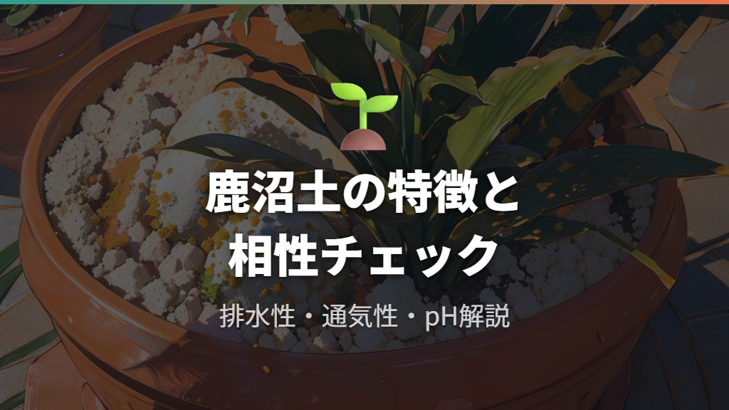 鹿沼土の基本的な特徴とサンスベリアとの相性