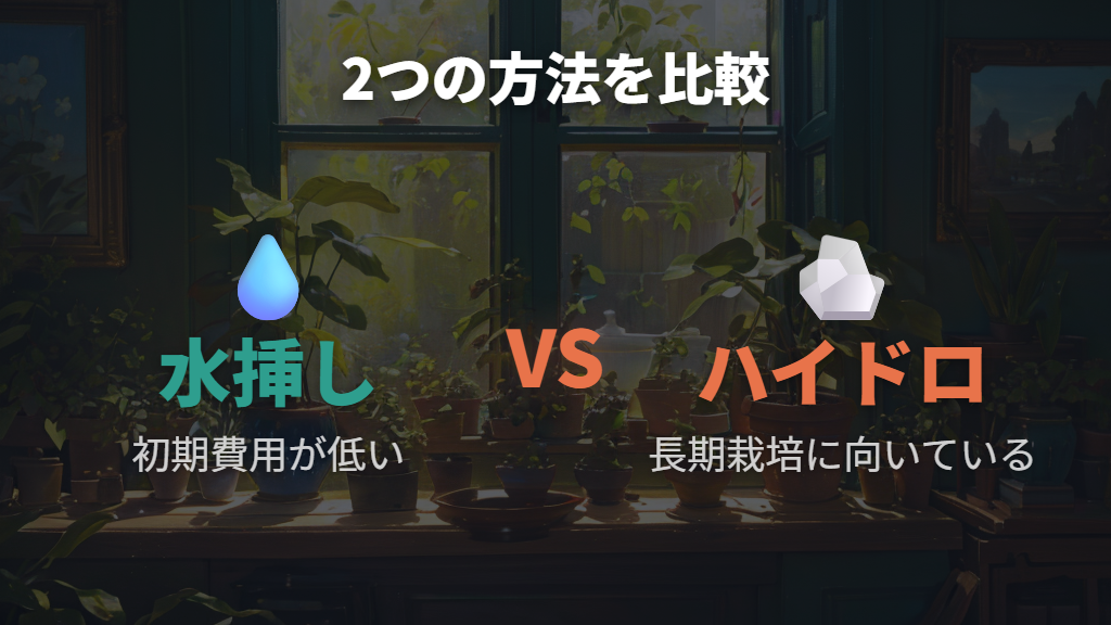 水挿しとハイドロカルチャーの違いと選び方