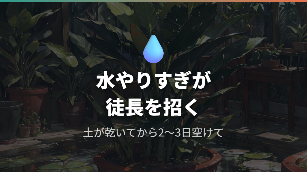 水のやりすぎが引き起こす徒長