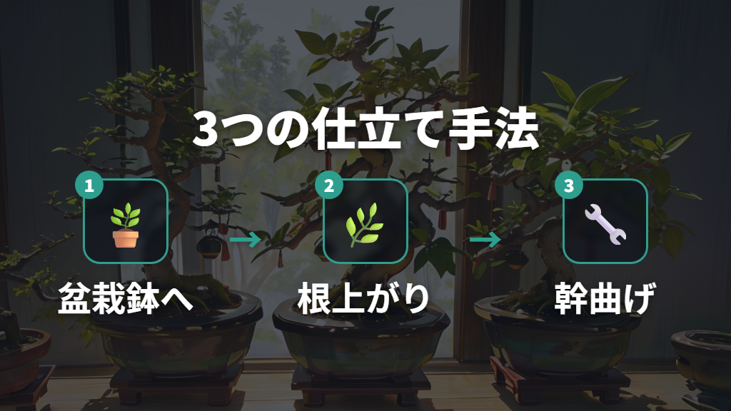 ガジュマル盆栽の仕立てに使う3つの手法