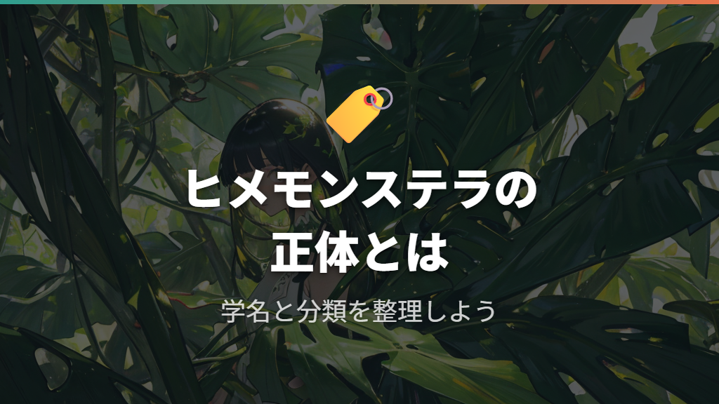 マドカズラの学名と「ヒメモンステラ」の正体