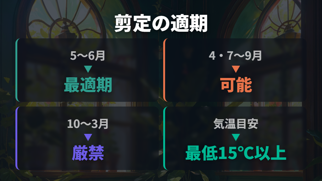 剪定に適した時期と見極め方