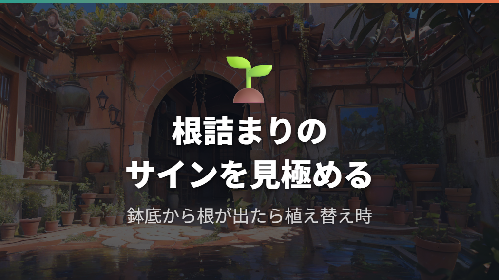 植え替えや剪定を始めるタイミング｜根詰まりのサインと見極め方
