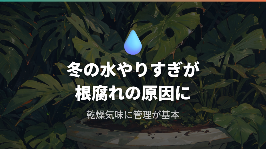 冬に根腐れが重なりやすい理由–水やりすぎとの悪循環