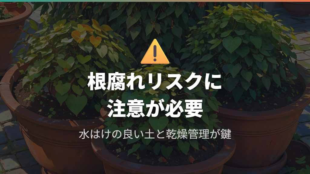 気根を埋めるデメリットとリスク：根腐れを防ぐポイント
