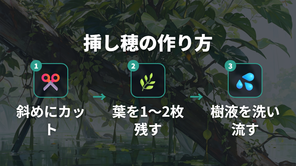 ウンベラータ挿し穂の切り方と樹液処理のポイント