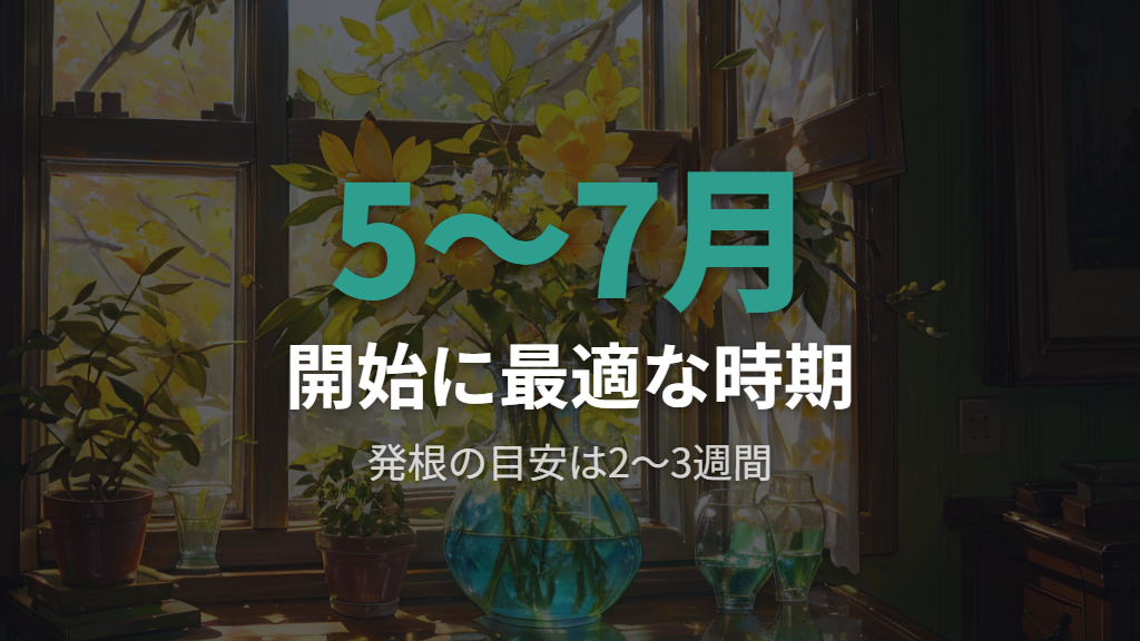 水耕栽培の開始に適した時期と発根の目安