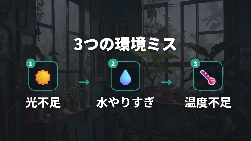 光・水やり・温度の環境ミスが芽吹きを遅らせる理由