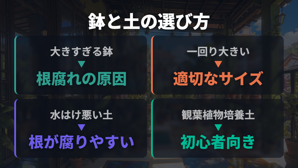 鉢のサイズ選びと土の選び方のミスが招くトラブル