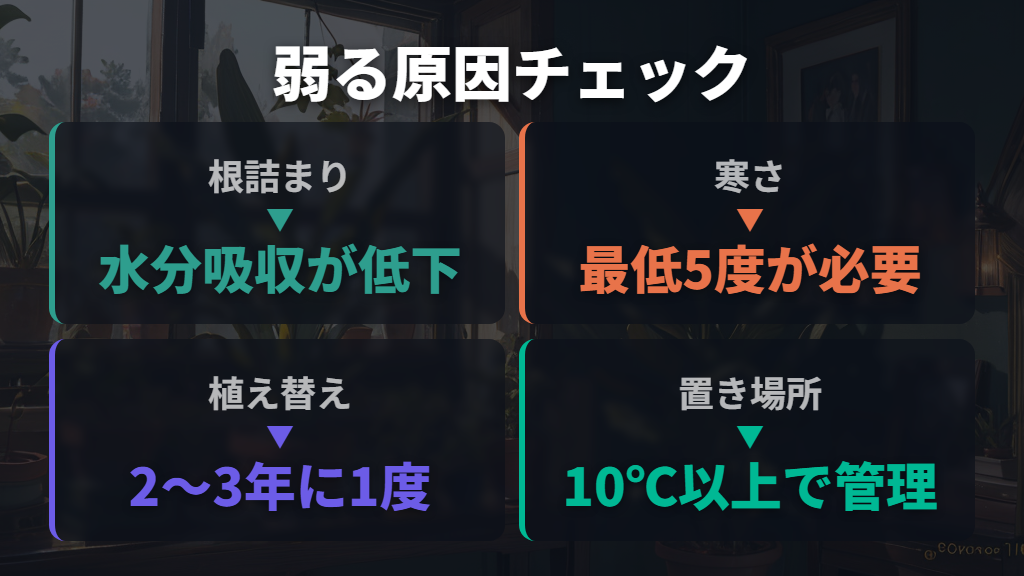 根詰まりと寒さによる株の衰弱
