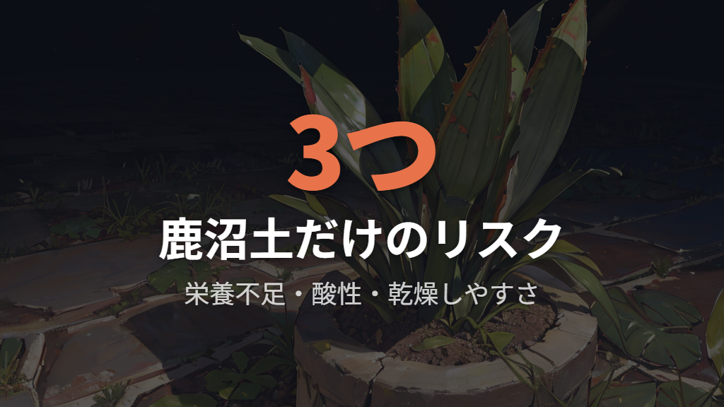 鹿沼土だけで育てるデメリットと3つのリスク