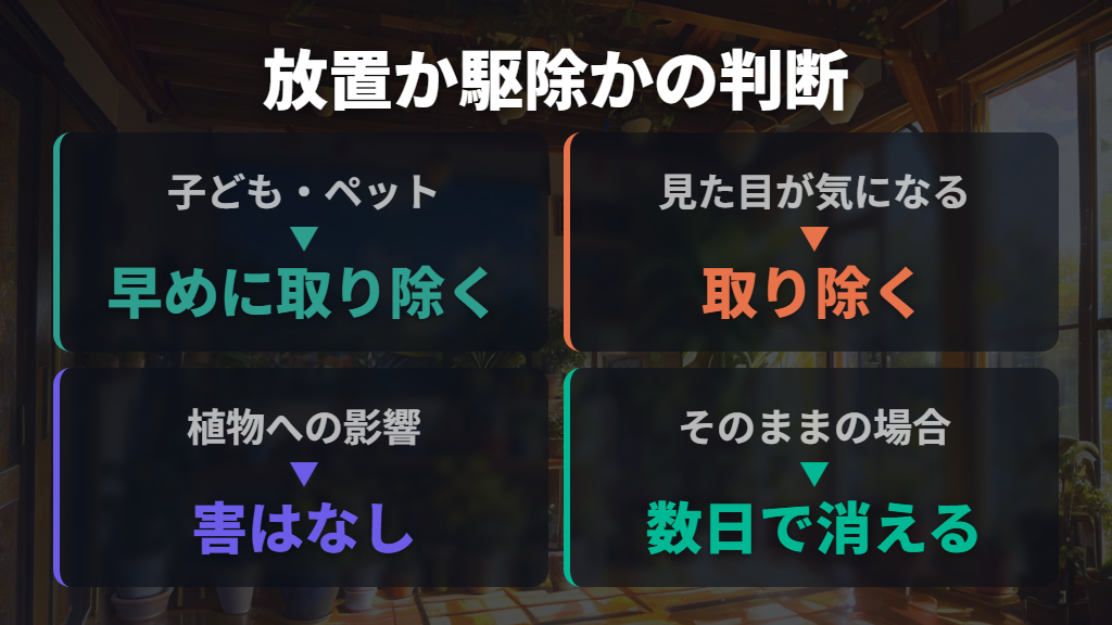 植物への影響は？駆除すべきか、放置すべきかの判断基準