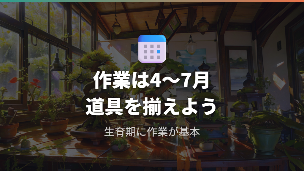 ガジュマルの根上がりを作る適切な時期と必要な道具