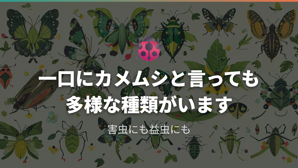 カメムシの種類と観葉植物への影響