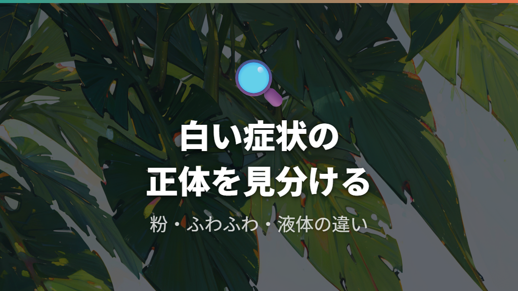 白い粉・ふわふわ・白い液体の正体と危険なサインの見分け方