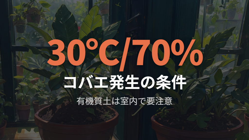 セリアを含む100均の土で虫が湧きやすい理由