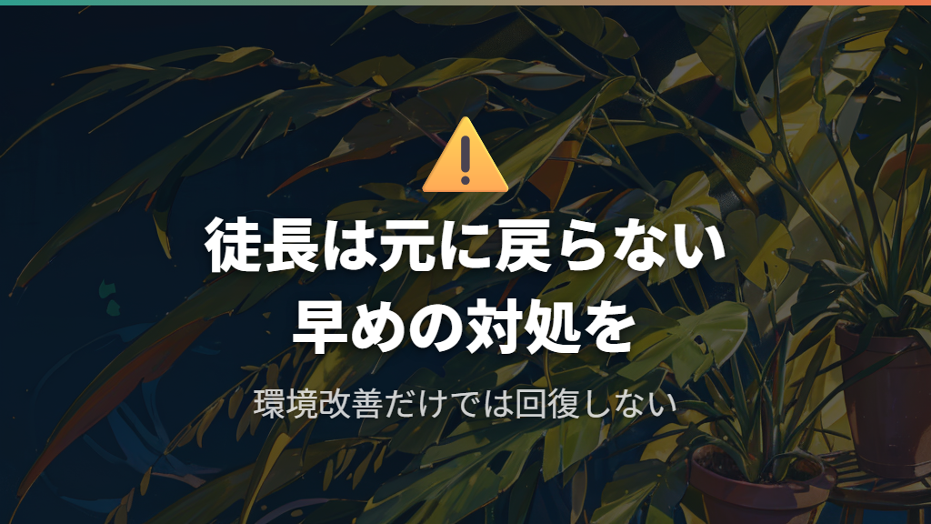 徒長が進むと幹が細くなるメカニズム