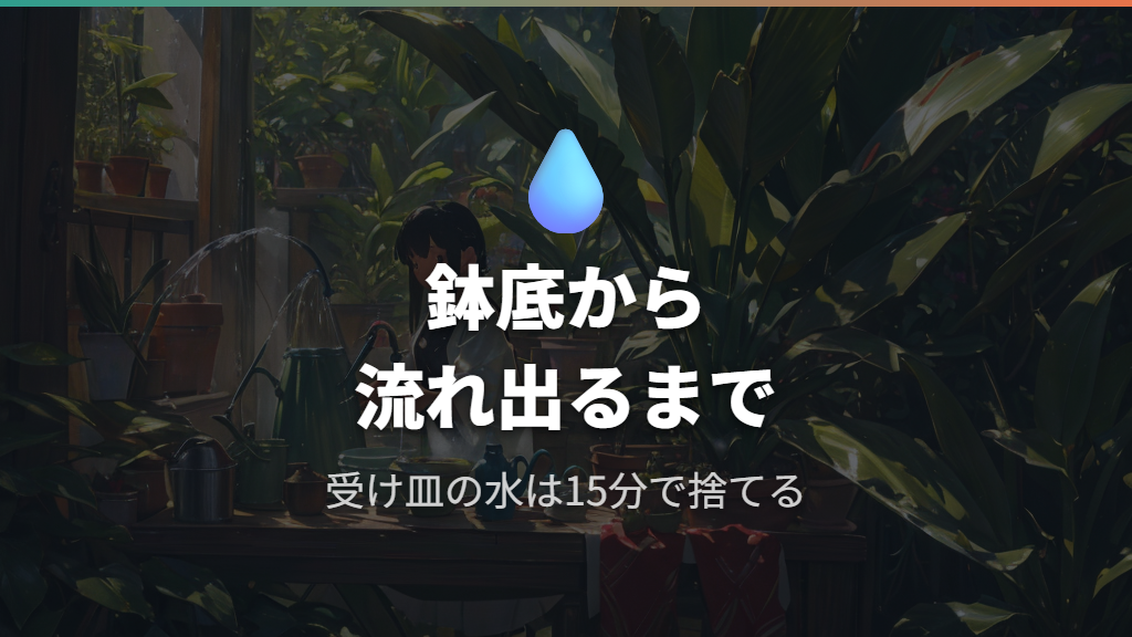 1回あたりの水の量と受け皿の正しい扱い方