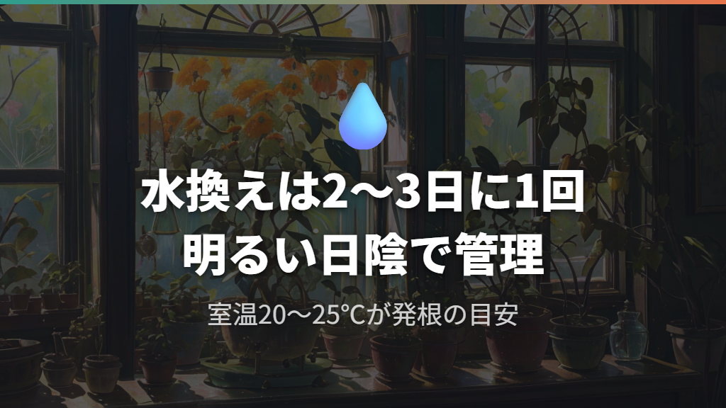 ウンベラータの水差しの方法と発根するまでの管理