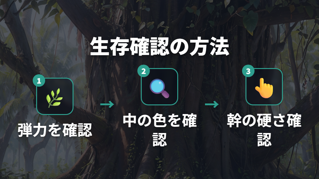 幹と枝に触れて生存を確認する具体的なチェック方法