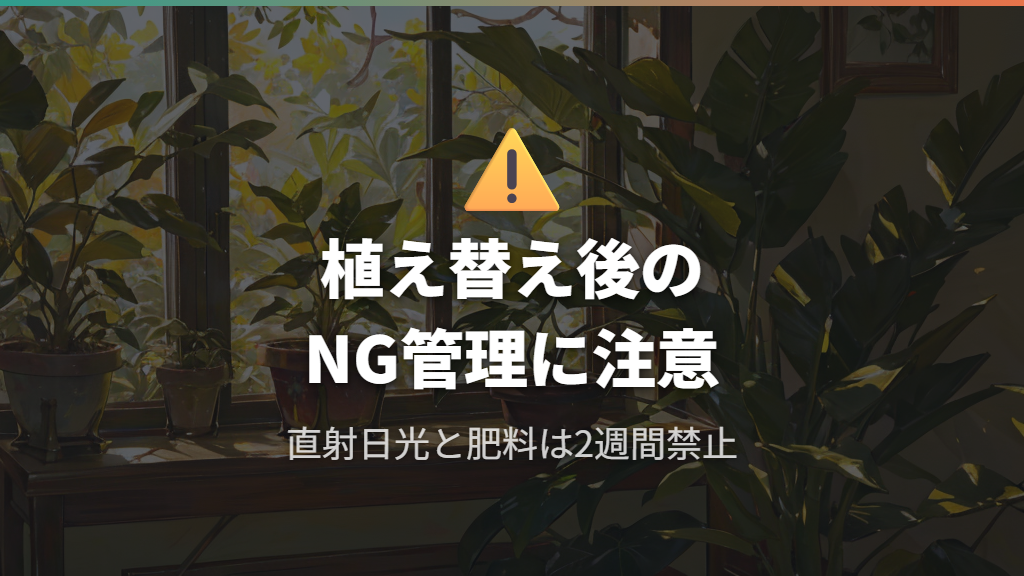 植え替え後の管理ミスで症状が悪化するパターン