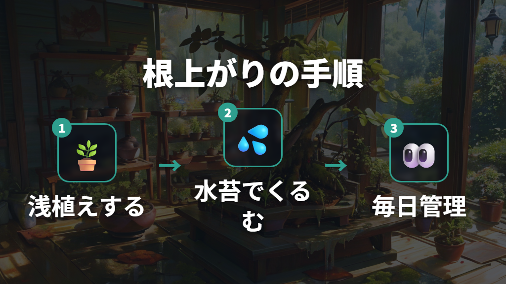 ガジュマルの根上がり基本手順（浅植えと水苔固定）