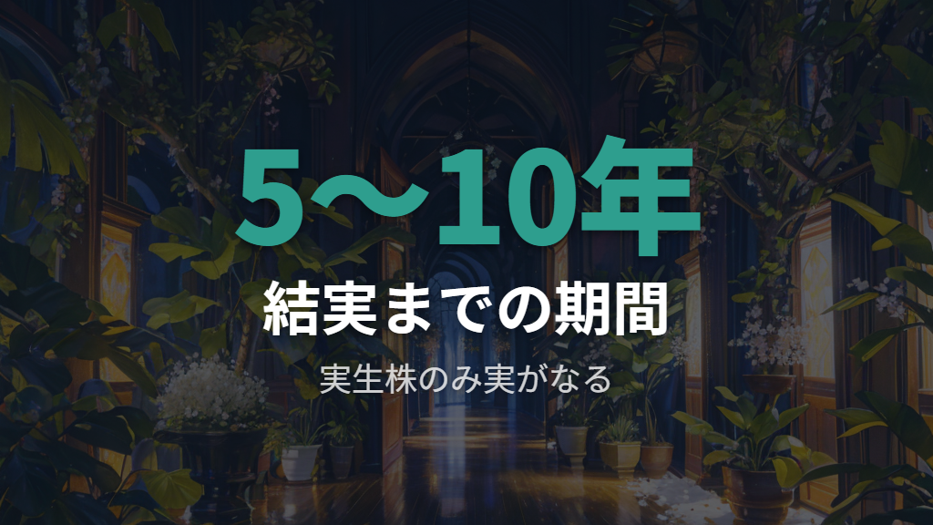 実がなるのは実生株のみ、開花・結実まで必要な期間と時期