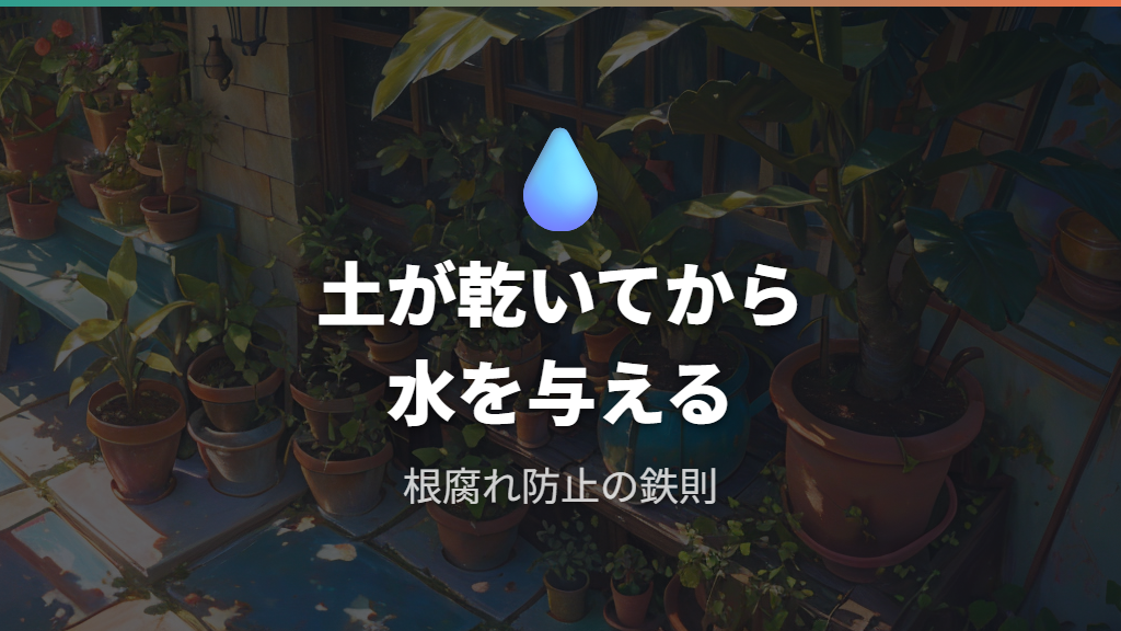 芽が出ないときの水やりを根腐れリスクから見直す
