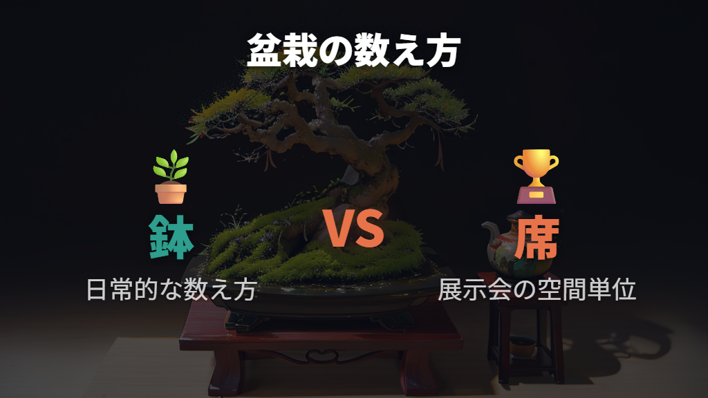 盆栽の数え方「鉢」と展示会での「席」
