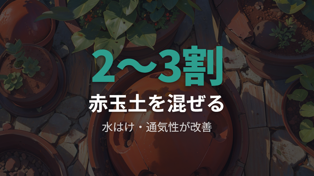 赤玉土や鉢底石を混ぜて水はけアップ！セリアで揃う土改良グッズ