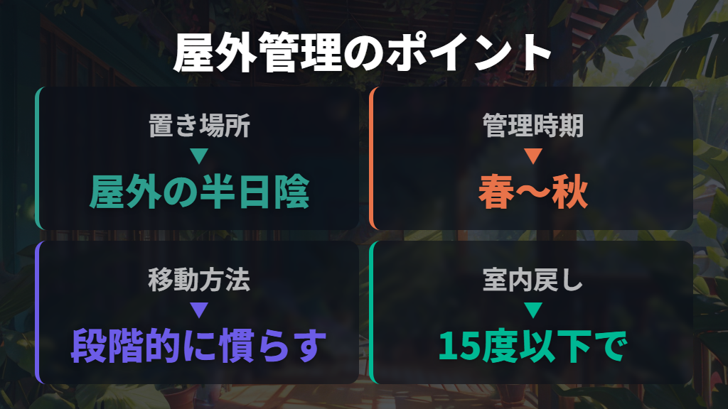 春から秋は屋外の半日陰で日光と風をたっぷり確保する