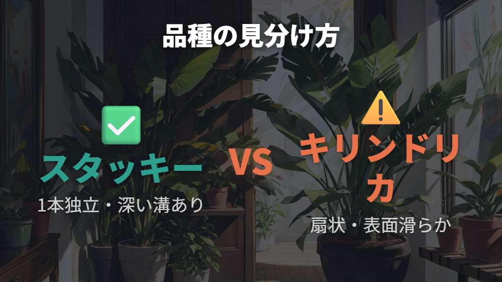 キリンドリカとスタッキーの決定的な違い